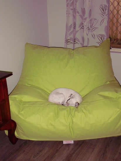 Ralph hat auch festgestellt, dass der Sitzsack super bequem ist und hat ihn gleich mal für sich eingenommen. So ohne teilen...