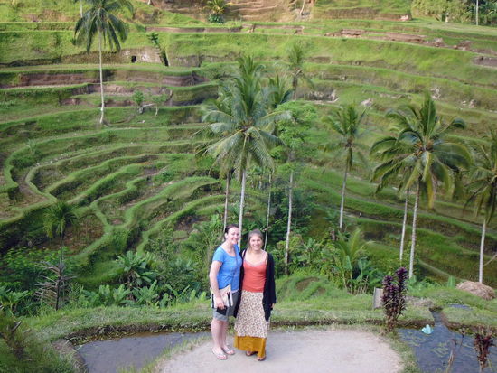 Noch eine Reisterasse