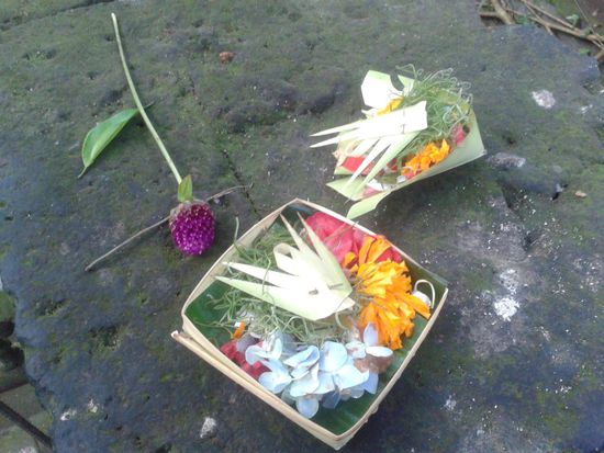 Die kleinen hübschen Blumenopferschalen