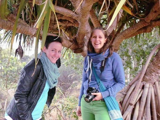 Der super lustige Baum -  penis tree  
Ich glaub der hat auch nen botanischen Namen, den weis ich leider nicht 