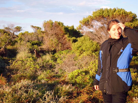Kangaroo Point - links im Bild ist ein Känguru