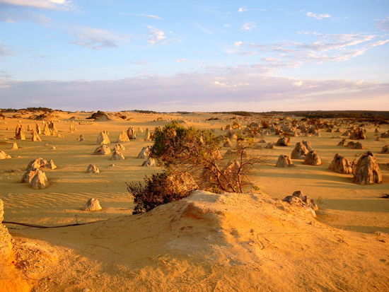 Pinnacles bei Cervantes