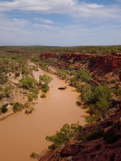 Kalbarri NP
Hawks Head
Normalerweise ist der Fluss wunderschön blau. Es hatte nur ca 1 Woche vorher heftige Regenschauer 500km nördlich von Kalbarri und deshalb ist das Wasser jetzt so braun.