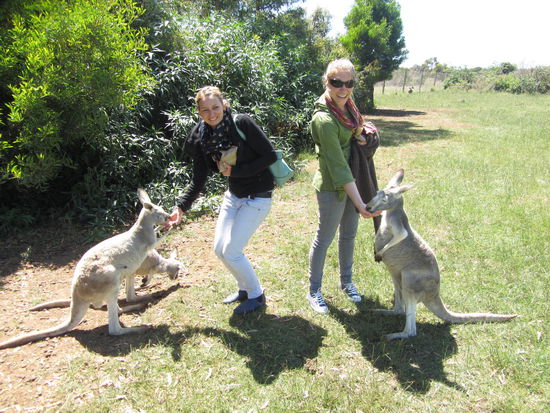 Haha - die sind ja so was von putzig.