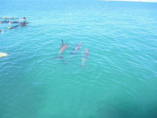 Die kamen noch viel näher an uns ran