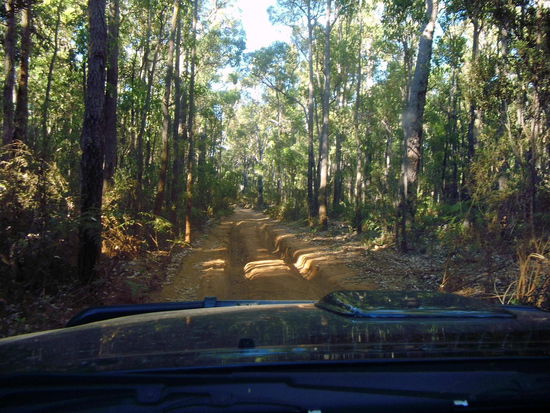 Da waren wir Zelten - Lane Pool Reserve, Stringers Camp 
und dann haben wir einen 4wheel drive gemacht, also durch Schlaglöcher, über Stock und Stein