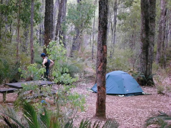 Unser Zelt
Am Abend haben wir dann noch 2 Kängurus gesehen, also so richtig wild lebende und ganz nah...
Wir sind mit der Taschenlampe los, dann konnten sie uns nicht sehen.
Diese beiden waren gar nicht so groß, vielleicht ein Kopf kleiner als ich...  Das war ganz schön aufregend