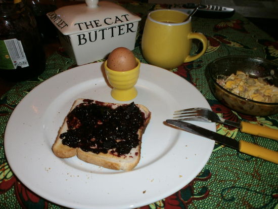 Mein Sonntags Frühstück  Toast mit selbst gemachter Marmelade, ein Ei von unseren glücklichen Hühnern, mein Eiersalat (auch von unseren glücklichen Hühnern) und natürlich ein Cup oft Tea
