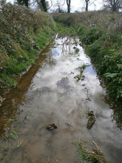 Ähm ja... 4 Meter unter Wasser... Ich könnte zur Not auch einen anderen Weg gehen, der ist aber doppelt so lang... Aber...