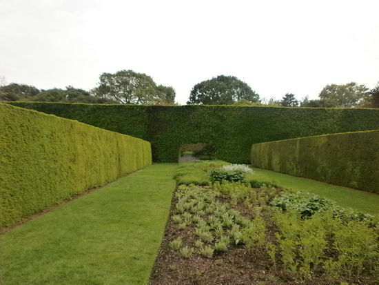 Guck dir diese Hecke an! Die links und rechts ist schon 2 Meter hoch!