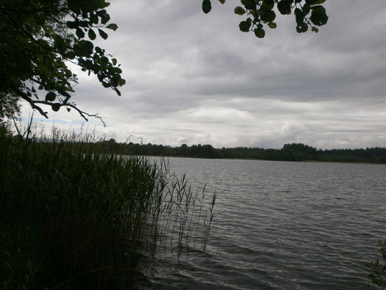 Lake Menteith - wie ihr seht hat das Wetter nicht ganz mitgespielt... Aber wenn es geregnet hat, waren wir immer im Bus unterwegs
