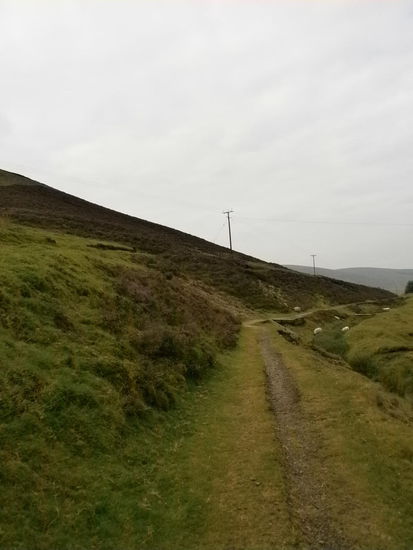 Wanlockhead - Leider sieht man hier nicht die schöne lila Farbe...