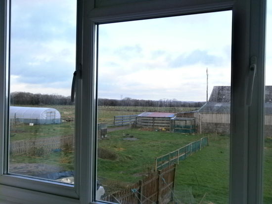 Ein Blick aus meinem Zimmer: links ist dieser Polytunnel und rechts der Kuh und Schweinestall