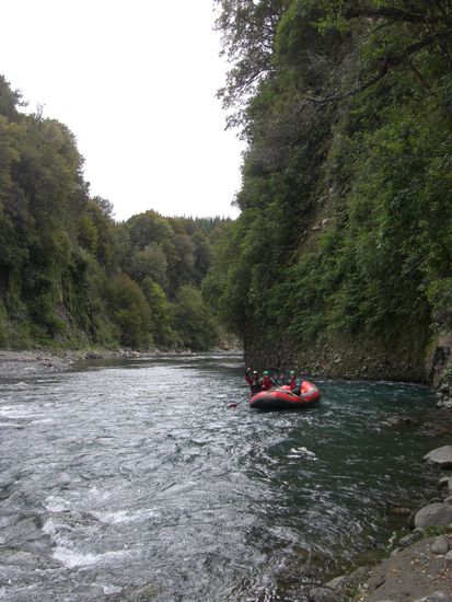 Der Tongariro River.
