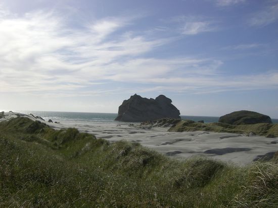 Schoener Strand mit grosser Robbenkolonie