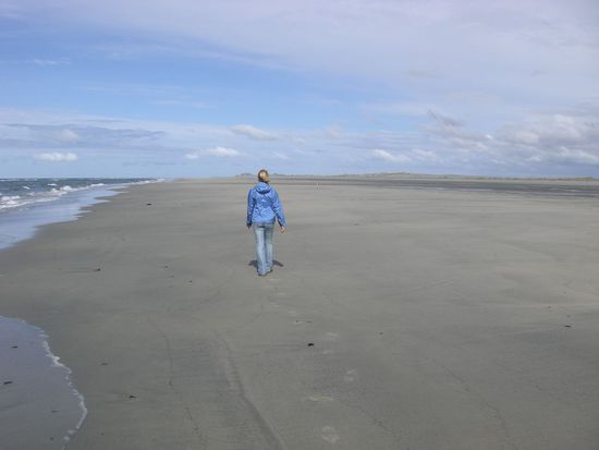 Farewell Spit, eine 25-30km lange Sandhalbinsel