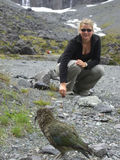 .. und ist sehr zutraulich