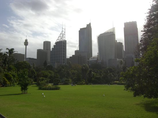 Botanischer Garten mit Skyline