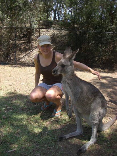 Tourispass mit Kangaroo