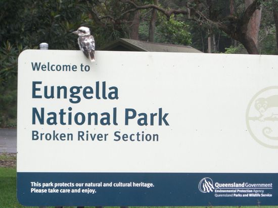 Und der Kingfisher posiert am Nationalparkeingang