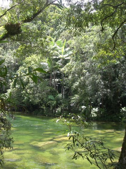 Mossman Gorge