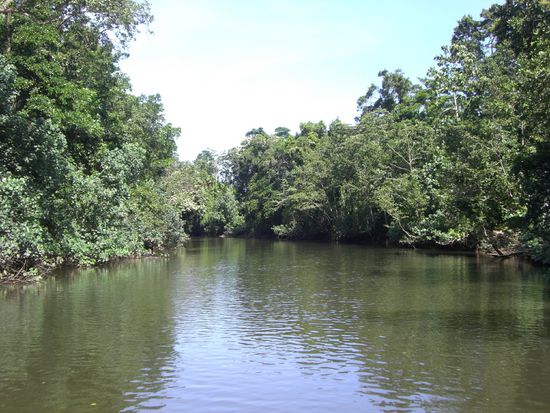 Hier gab es aber welche... der Daintree River