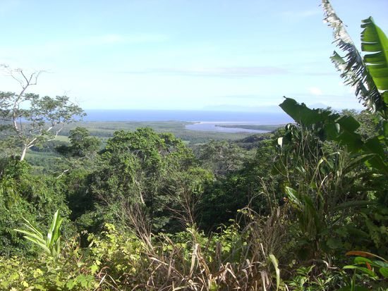Daintree National Park