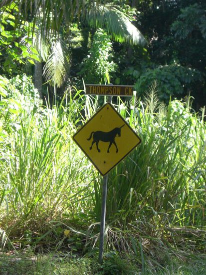 Jaaaa die gibt es hier echt!