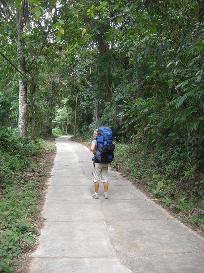 Also doch wieder laufen....