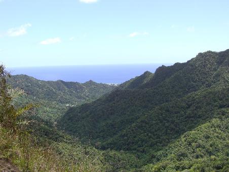 Cross-Island-Track - Ausblick vom Gipfel.