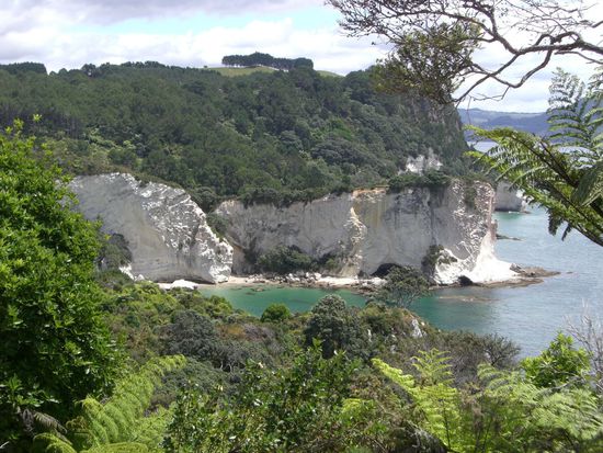 Paradise Cove in der Bay of Plenty