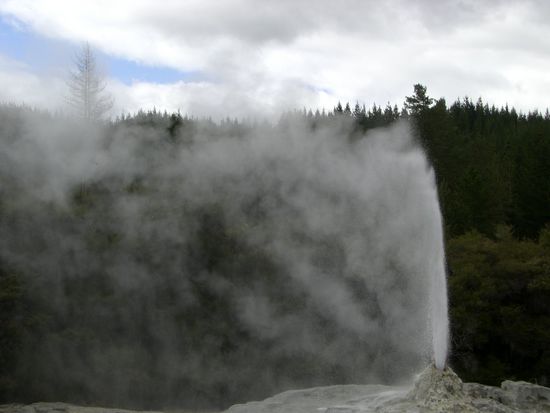Lady Knox Geysir - Wai-O-Tapu Wonderland