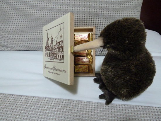 Kiwi hat natürlich gleich mal seinen Schnabel ins frisch gefüllte Schatzkästchen stecken müssen