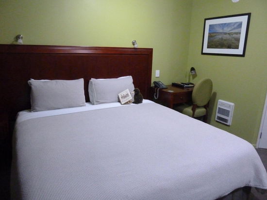 Meine Unterkunft in Kaikoura - alles was das Herz begehrt