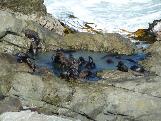 Das Kinderplanschbecken