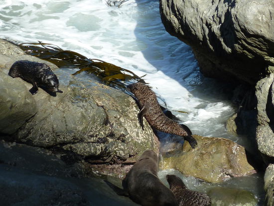 Kletterübung - keine Streckübung