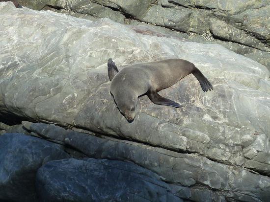 Die lag etwas abseits, vielleicht war der Trubel am Tide-Pool zu viel