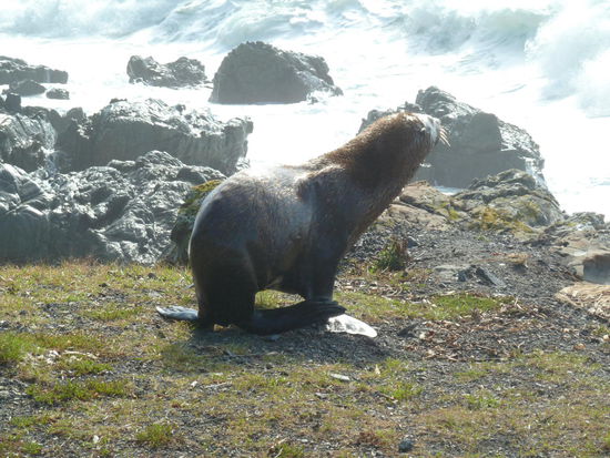und dann doch an mir vorbei