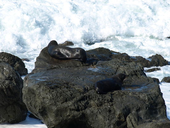 Dafür bekamen diese hier, immer wieder ne kalte Dusche