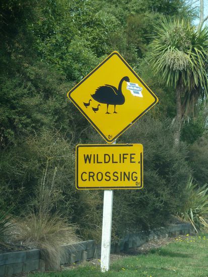 Ein Schild, leider mit Aufkleber, aber das hatte ich bis jetzt noch nicht in meiner Schildersammlung - und hier sah ich kein "Wildlife"