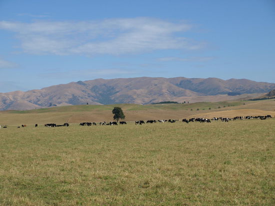 Im Landesinneren auf dem Weg nach Christchurch