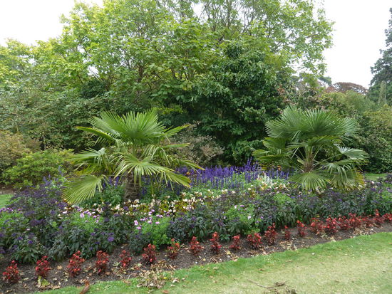 Und dem Botanischen Garten war auch nichts passiert