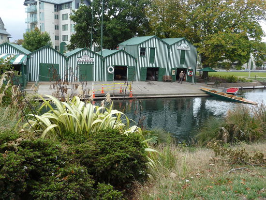 Keine 15 Meter weiter, aber eben wieder auf Seite des Botanischen Gartens - heile Welt