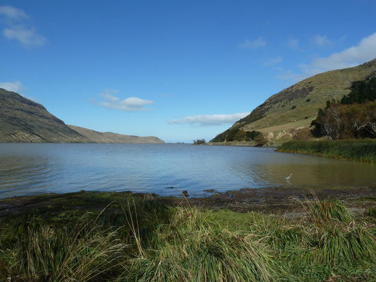 Lake Forsyth - da war mal mein blauer Himmel