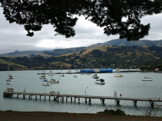 Der Bootssteg vom lokalen Jachtclub