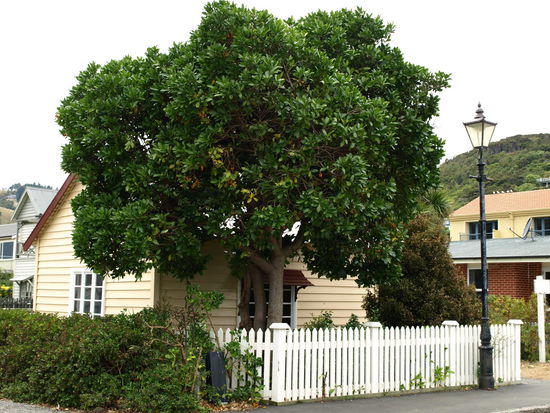 Das ehemalige Zollhaus