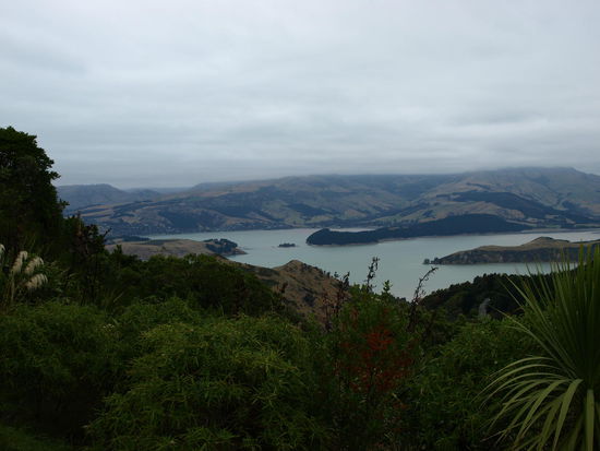 Blick auf Lyttelton Harbour - ich würde es eher Bay als Harbour nennen
