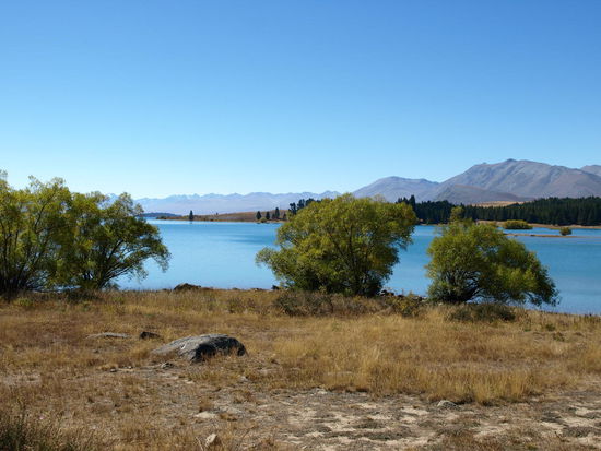 Lake Tekapo bei strahlend blauen Himmel