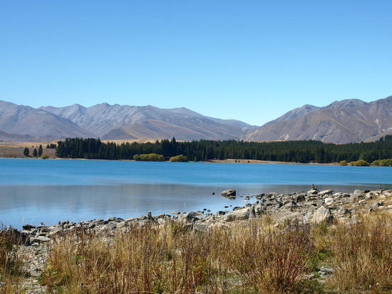 Lake Tekapo