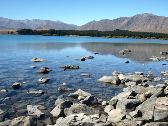 und noch mal Lake Tekapo ganz Nah am Ufer